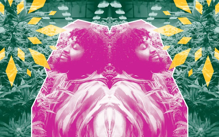 Seeds of Change background image